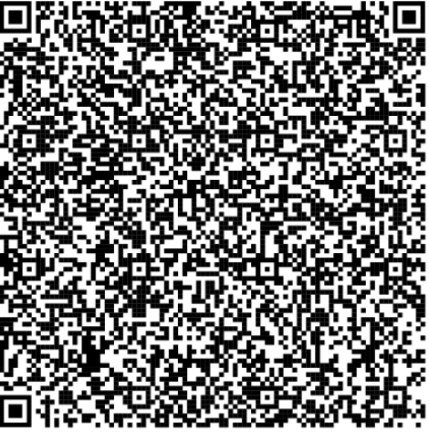 viavmg2024_QRcode